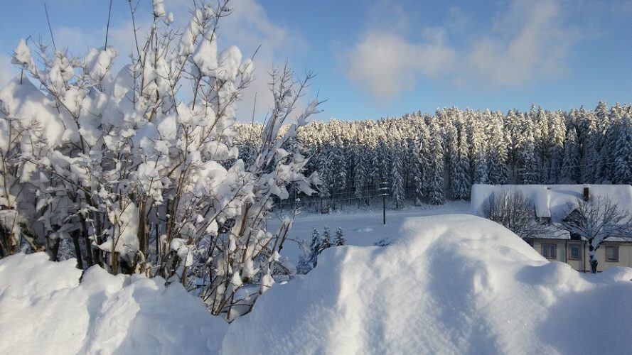 Eisenbach-2020-2021-Winterlandschaft-Winter-Busch