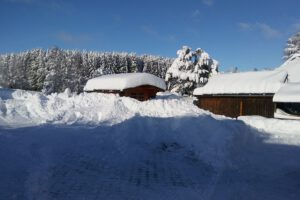 Eisenbach-2020-2021-Winterlandschaft-Winter-Gartenhaus