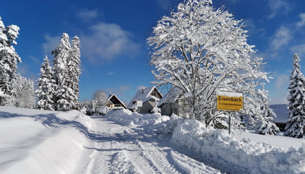 Eisenbach-2020-2021-Winterlandschaft-Winter-Ortsschild