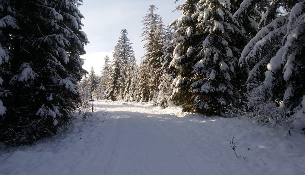 Eisenbach-2020-2021-Winterlandschaft-Winter-Wald