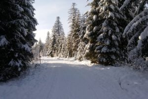 Eisenbach-2020-2021-Winterlandschaft-Winter-Wald