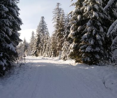 Eisenbach-2020-2021-Winterlandschaft-Winter-Wald