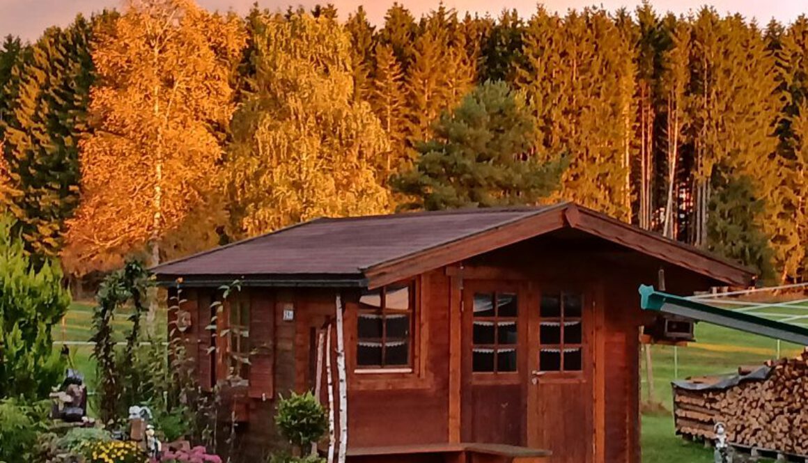 Bibo Bungalo Bibo Bungalo